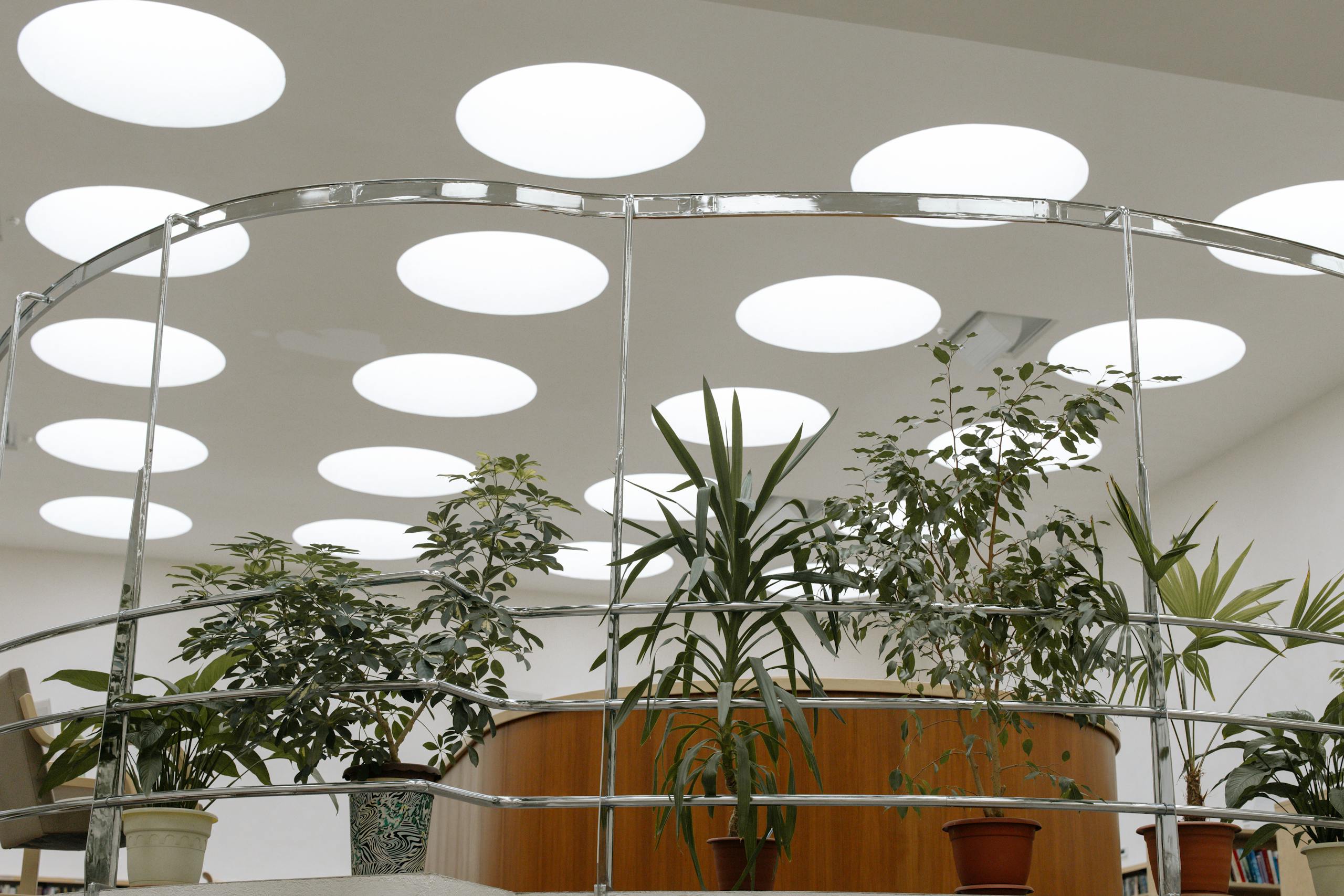 biophilic design